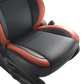 Maruti Suzuki Swift - Nappa Leather