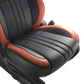 Maruti Suzuki Swift - Nappa Leather