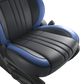 Maruti Suzuki Swift - Nappa Leather